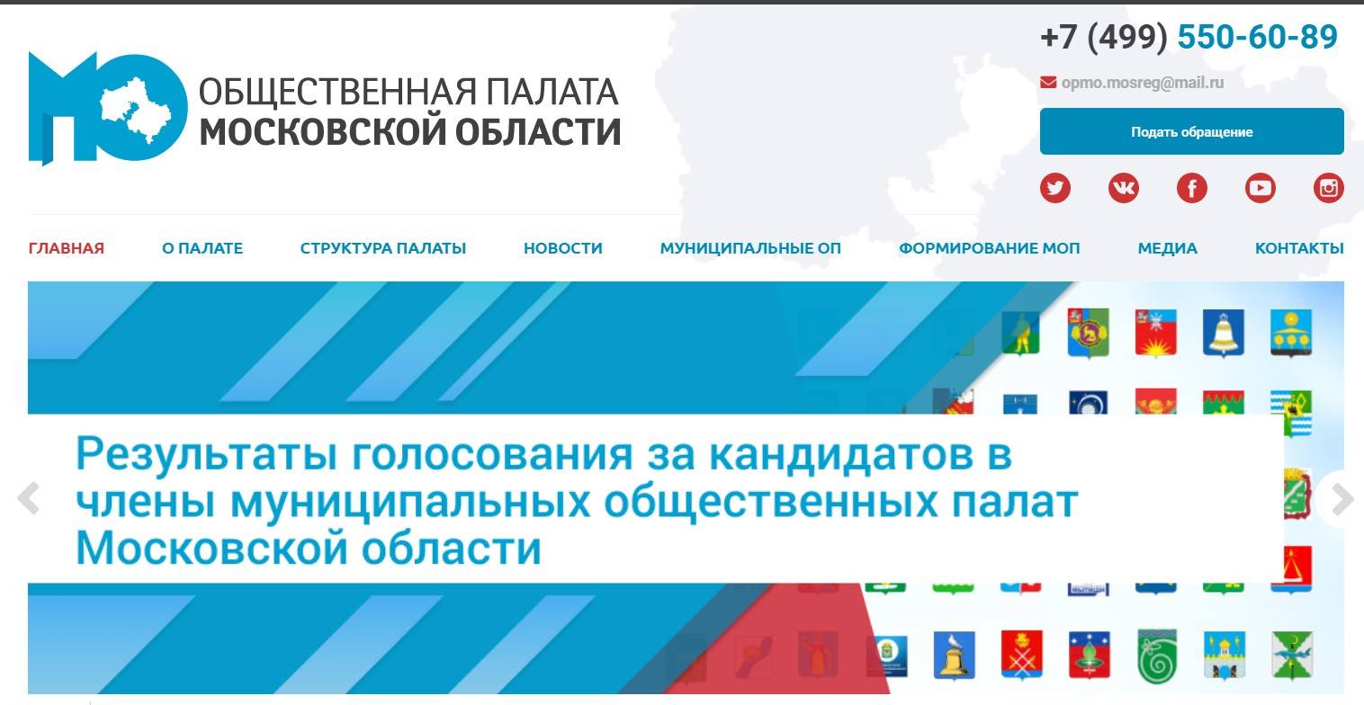 Результаты голосования за кандидатов в члены Общественной палаты |  03.08.2020 | Истра - БезФормата